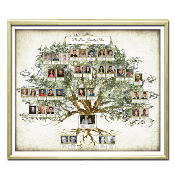 Family tree 12