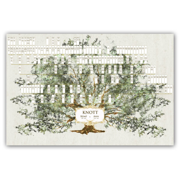 Family tree ss1