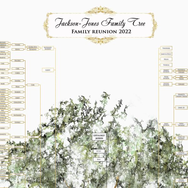Family Tree For Family Reunion 11 Min