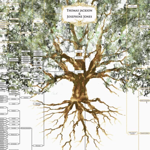 Family Tree For Family Reunion 12 Min